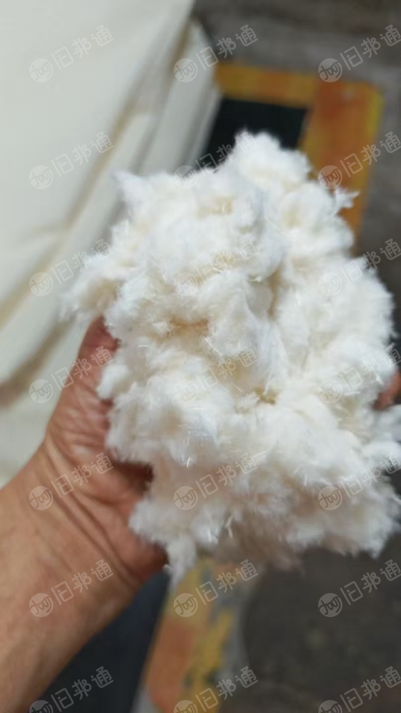 长期出售剪毛机下来的纯棉毛毛料，人棉毛毛料，纯棉现货6吨货