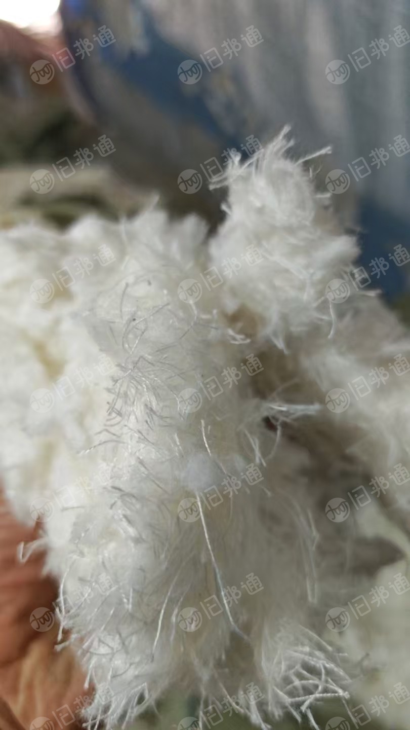 长期出售剪毛机下来的纯棉毛毛料，人棉毛毛料，纯棉现货6吨货