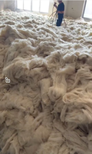 厂家长期出售纺织原料， 羊绒，牛绒，纺几支的都有