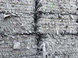 长期出售涤纶鞋帮布，中间覆了一层胶，纯白色的，货在福建莆田