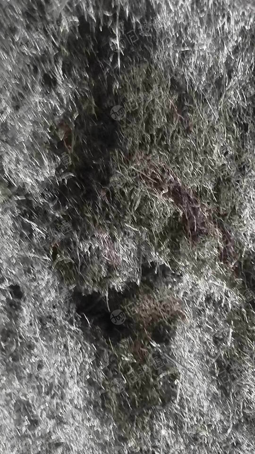 出售轮胎毛丝废料