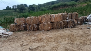 出售纸塑袋，现货一挂车