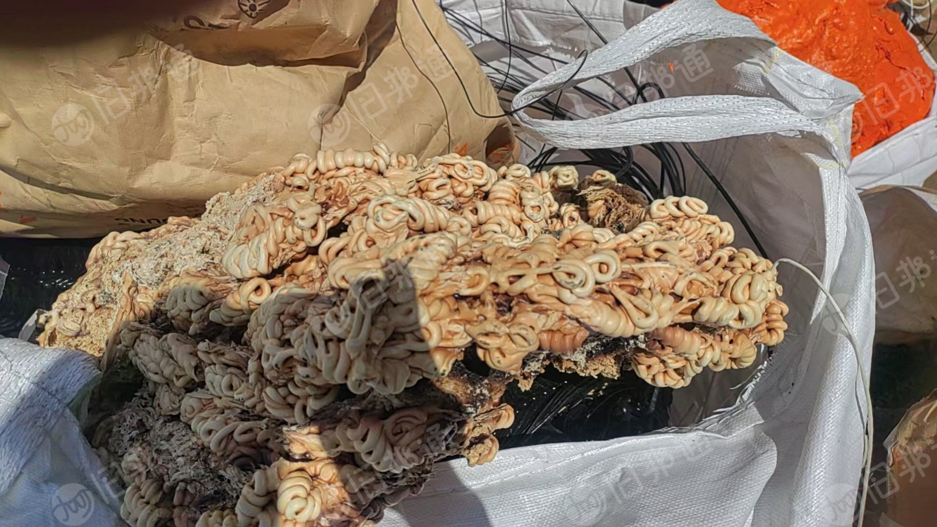 大量出售ABS，PC，尼龙PP机头料，混装
