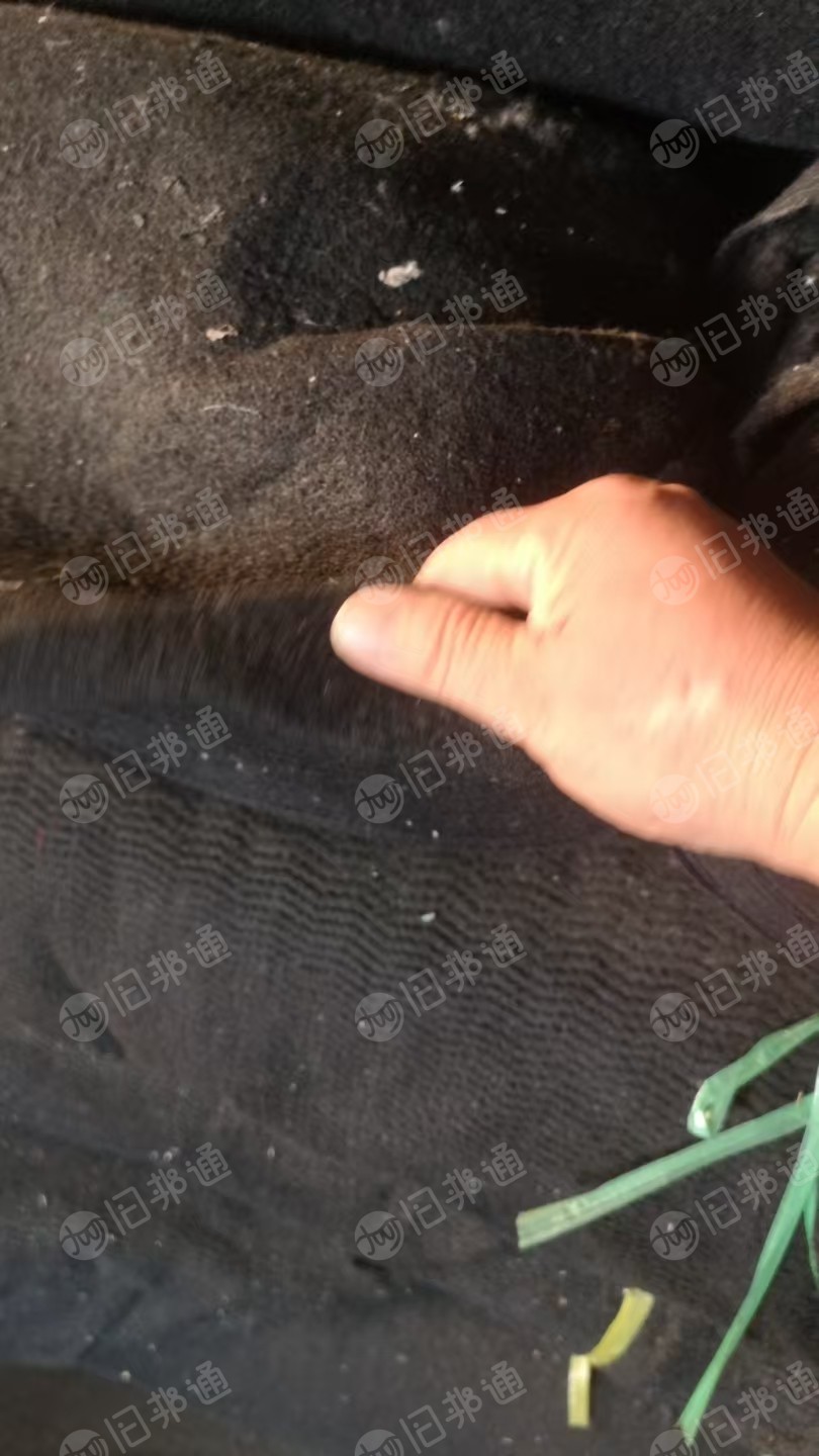 出售针刺棉无纺布，毛毡布，灰色1.5宽，黑色有1.7和1.8的，现货有3吨，货在河北定州