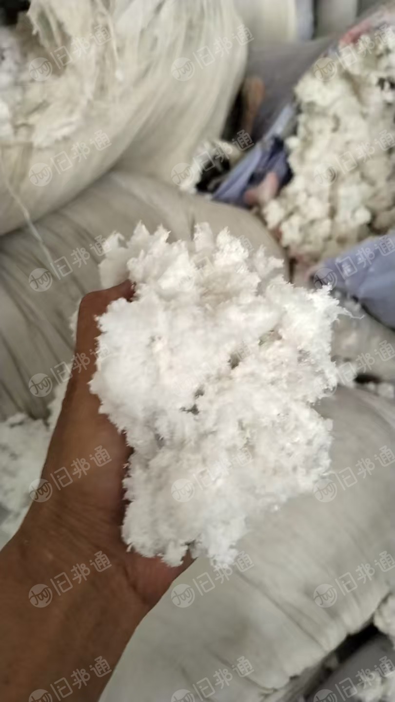 长期出售白色涤纶毛毛料，磨毛料，含水10%左右，货在山东临沂