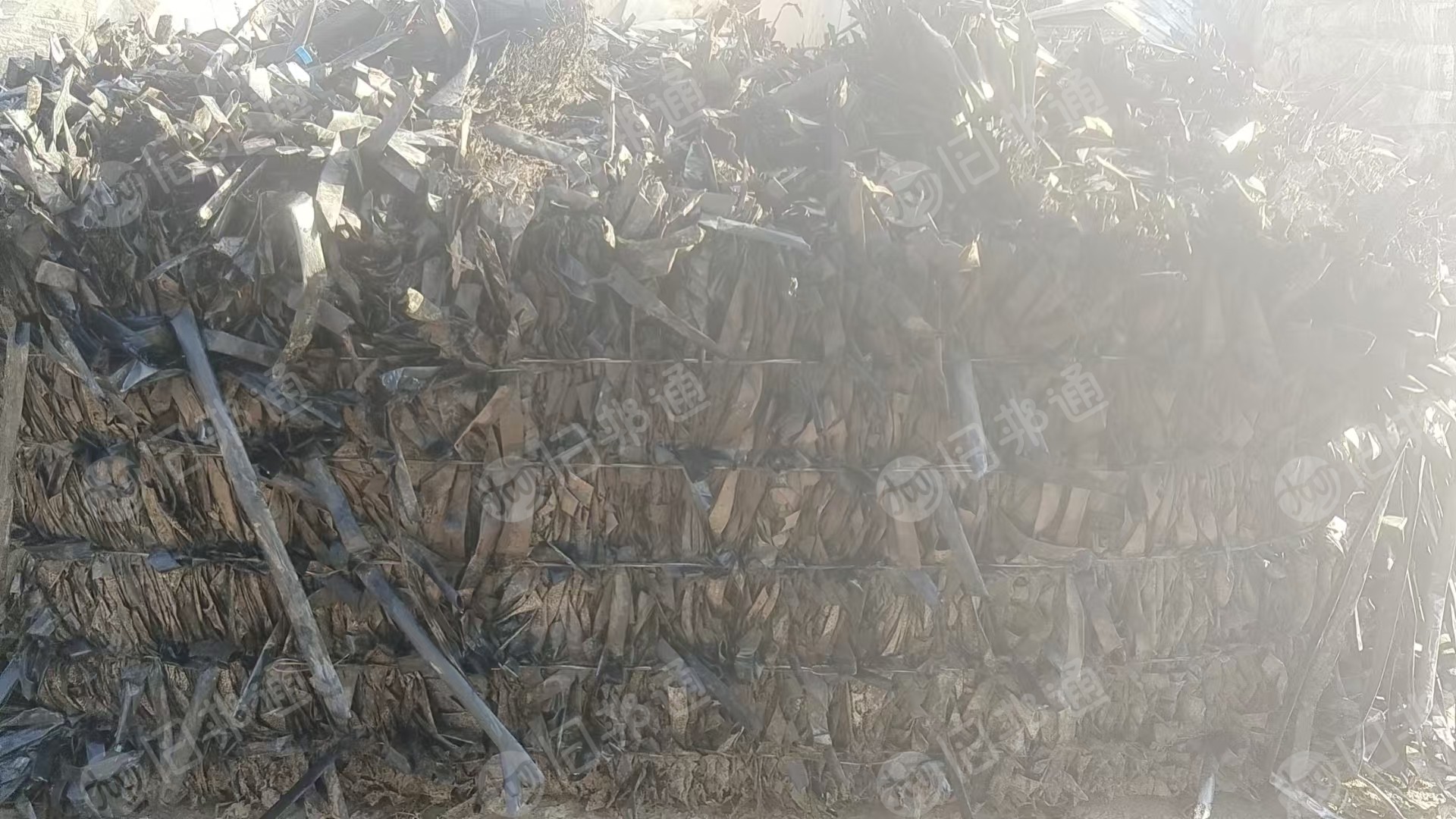 长期出售滴灌带贴片