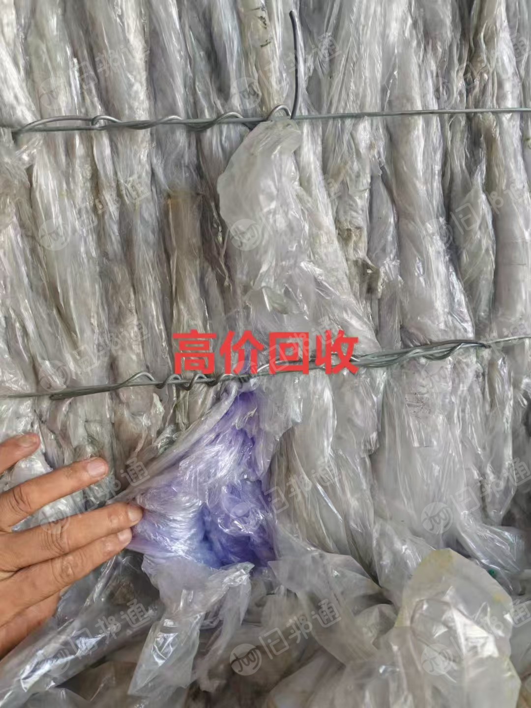 长期采购变色龙毛料，压包卷筒都可以，一级高压膜，月需300吨
