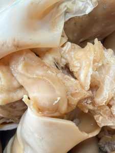 出售乳胶活胶胶皮料