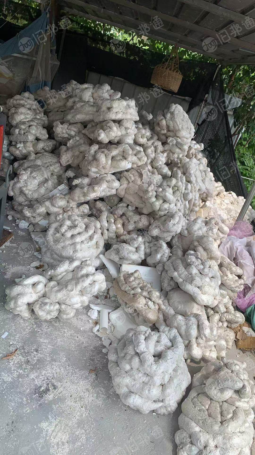 出售eps热熔块，月供20吨左右