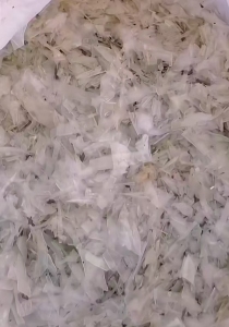 长期出售冷洗餐盒破碎料