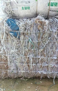 长期出售PP打包带废料
