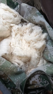 出售纯棉废纱,纯棉回丝,纯棉刀口纱,现货有12吨,货在河北保定