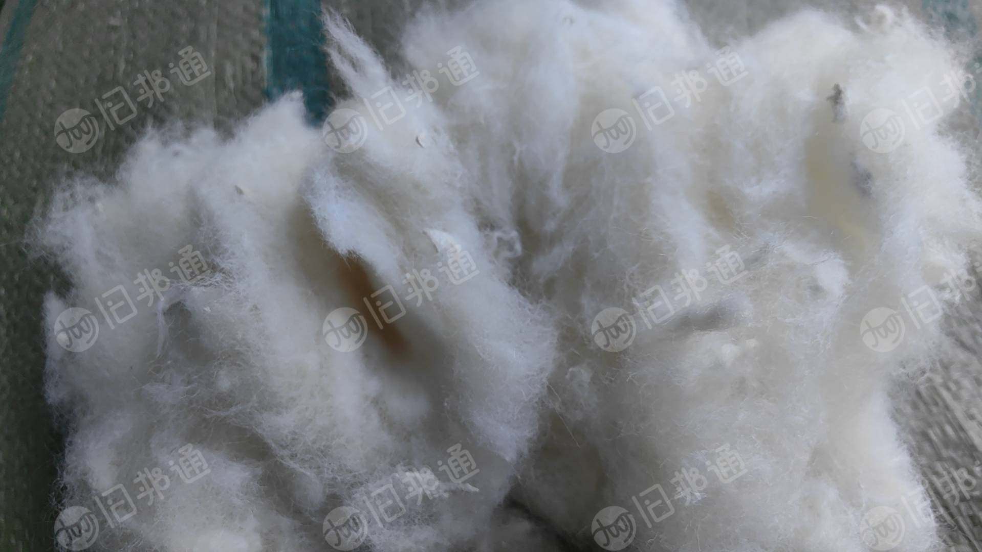 长期出售羊毛下脚料，羊毛料，现货20吨