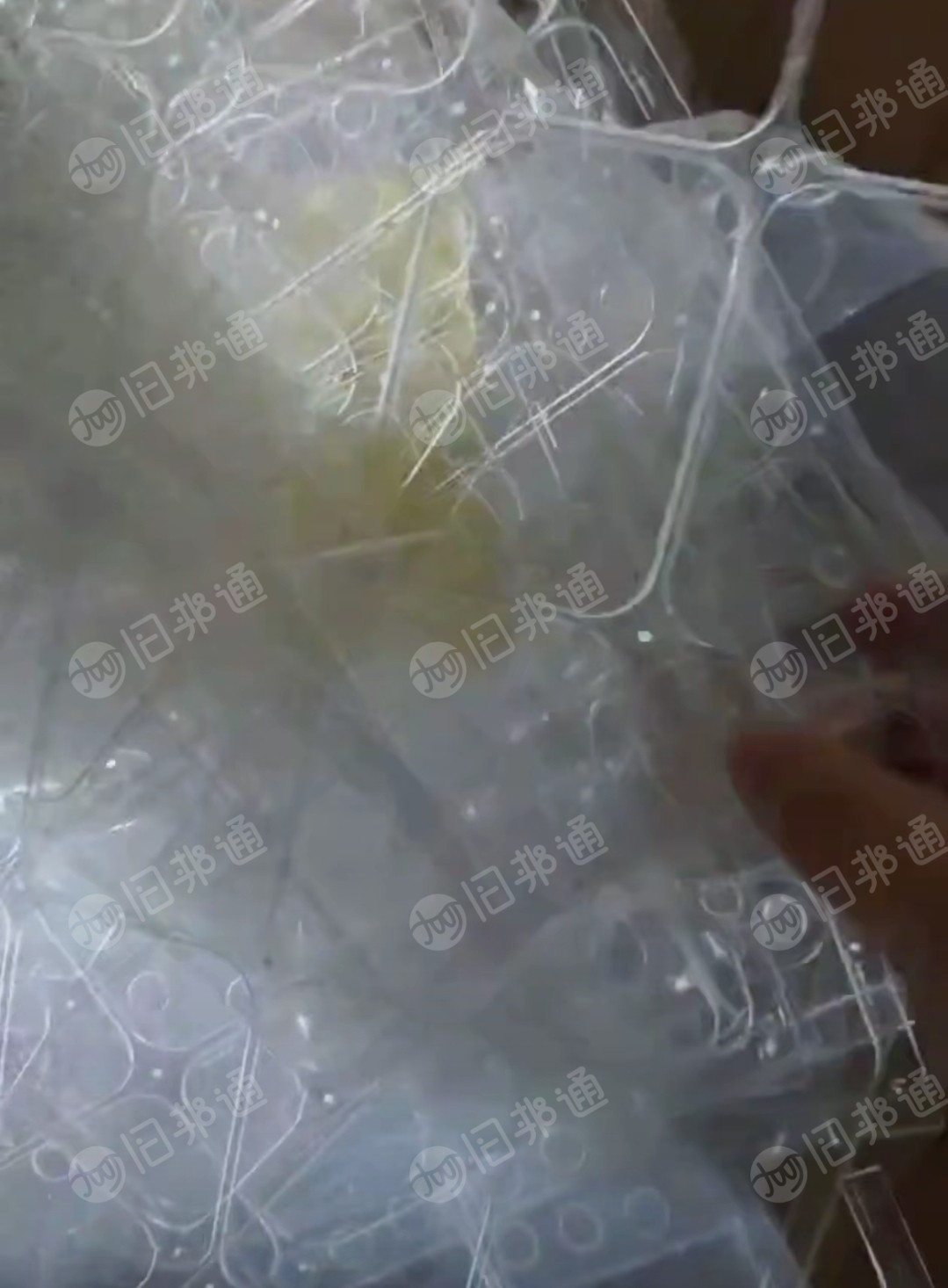 长期出售PP白管,PET滑膜,PE低粘膜,PC亚克力复合板废料