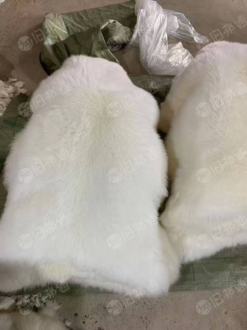长期出售羊毛下脚料，纯羊毛边角料，现货20吨