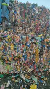 长期出售花乙压块