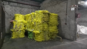 长期出售黄色pp打包带废料，现货11吨左右