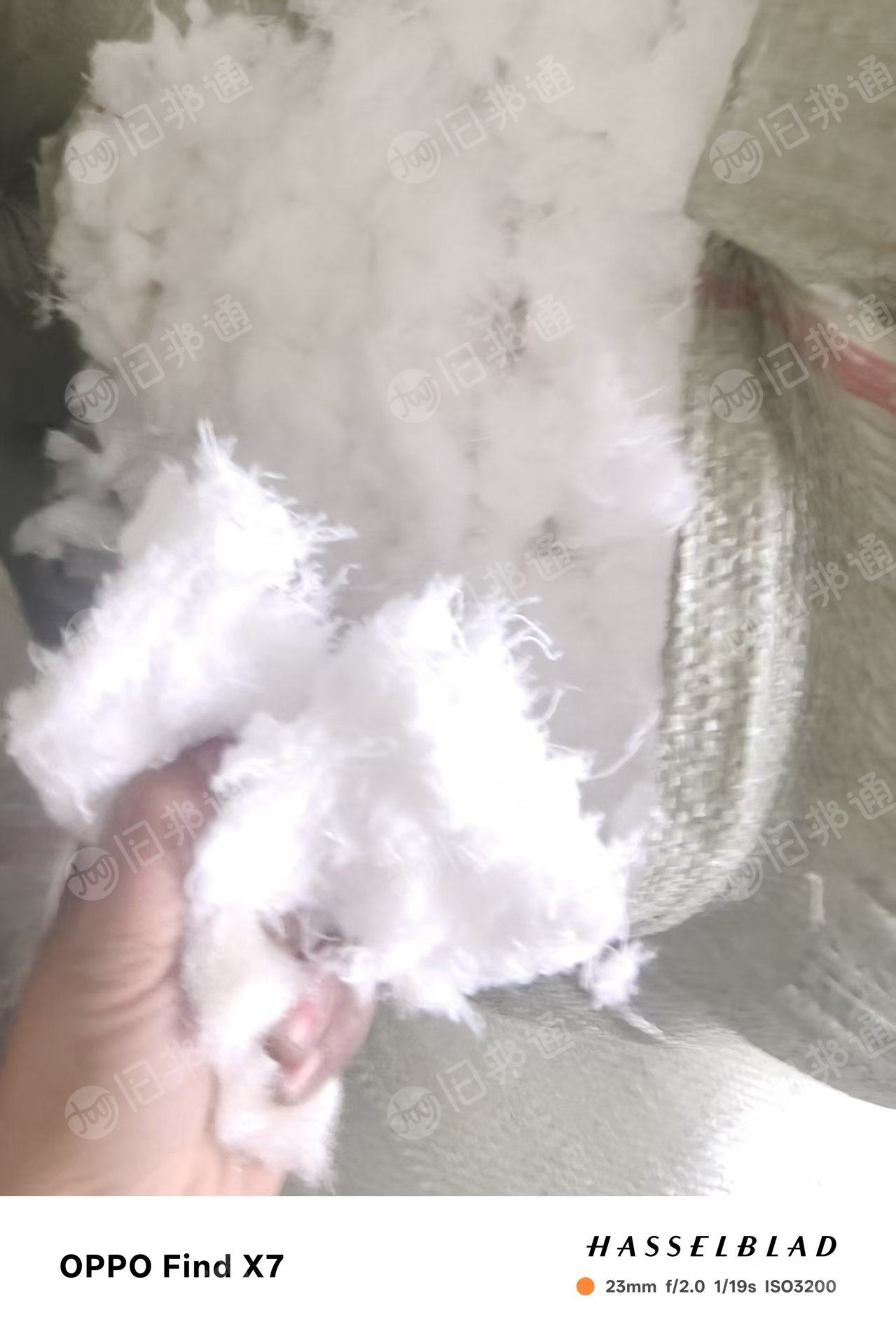 长期出售印花厂下来的涤纶磨毛料，毛毛料，月供9.6米一车