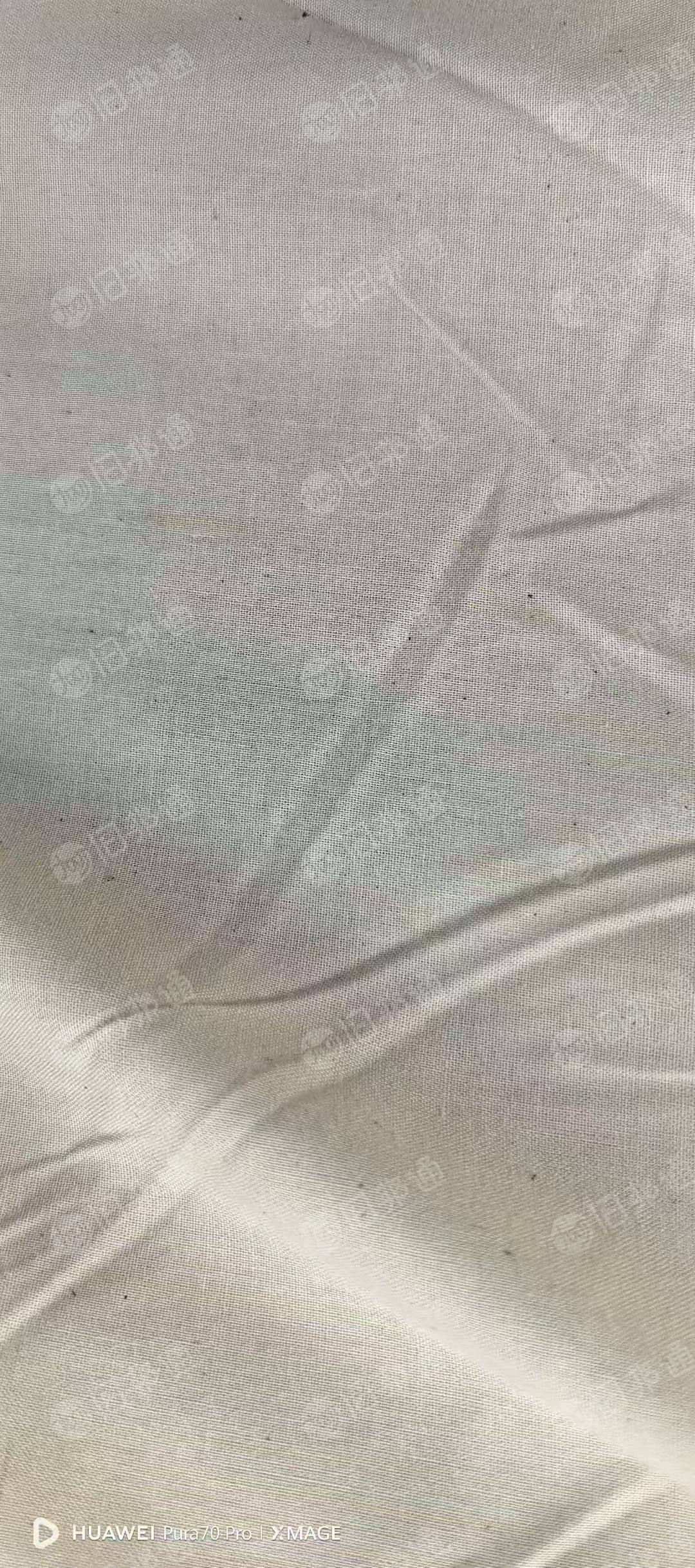 出售全棉坯布,棉布,门幅160克重不到100克,现货有2000多米,货在浙江绍兴