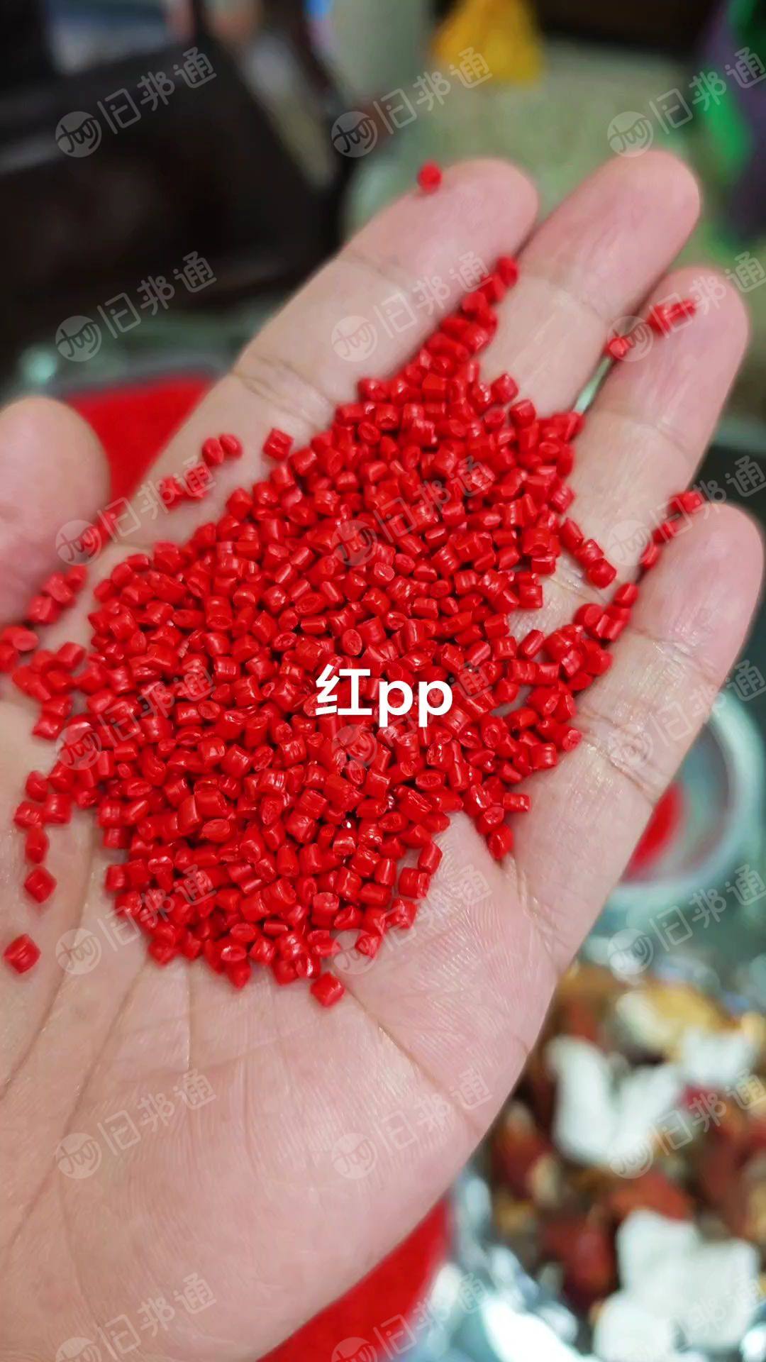 厂家直销红丙颗粒，纯正红色PP颗粒