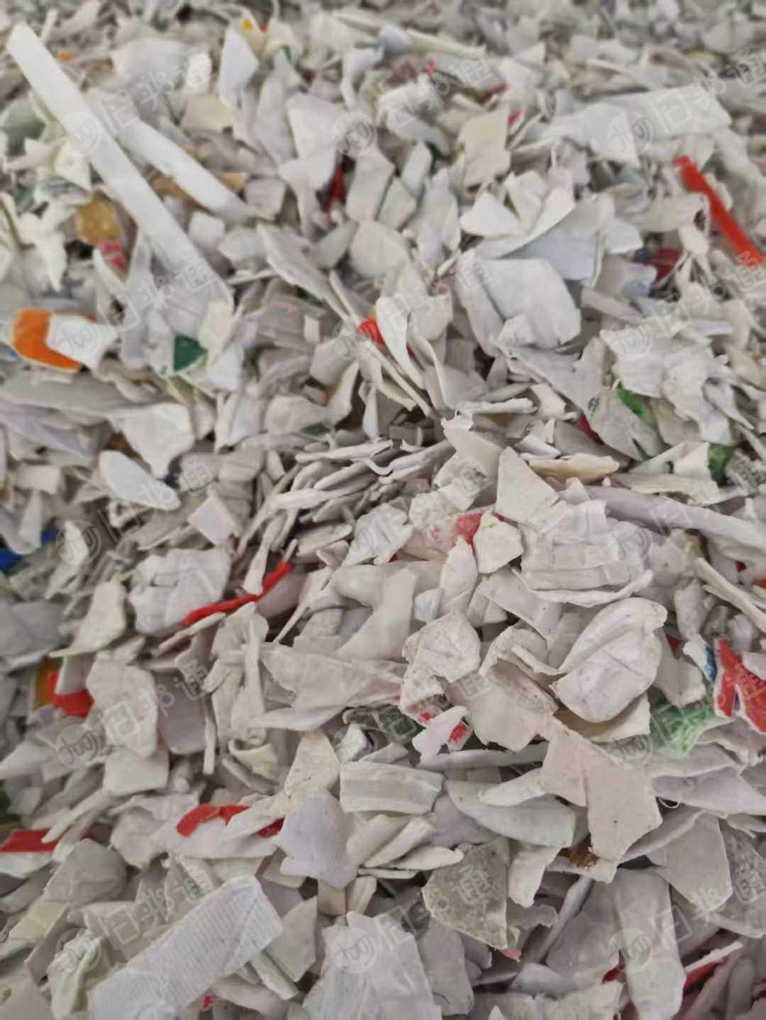长期出售白色带字涂料桶破碎料,白色日杂丙破碎料