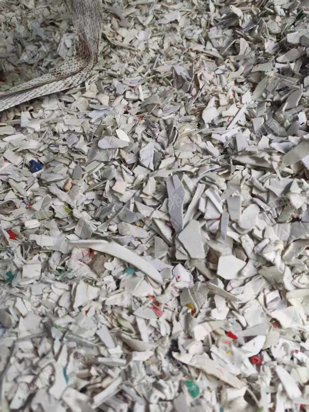 长期出售白色带字涂料桶破碎料，白色日杂丙破碎料