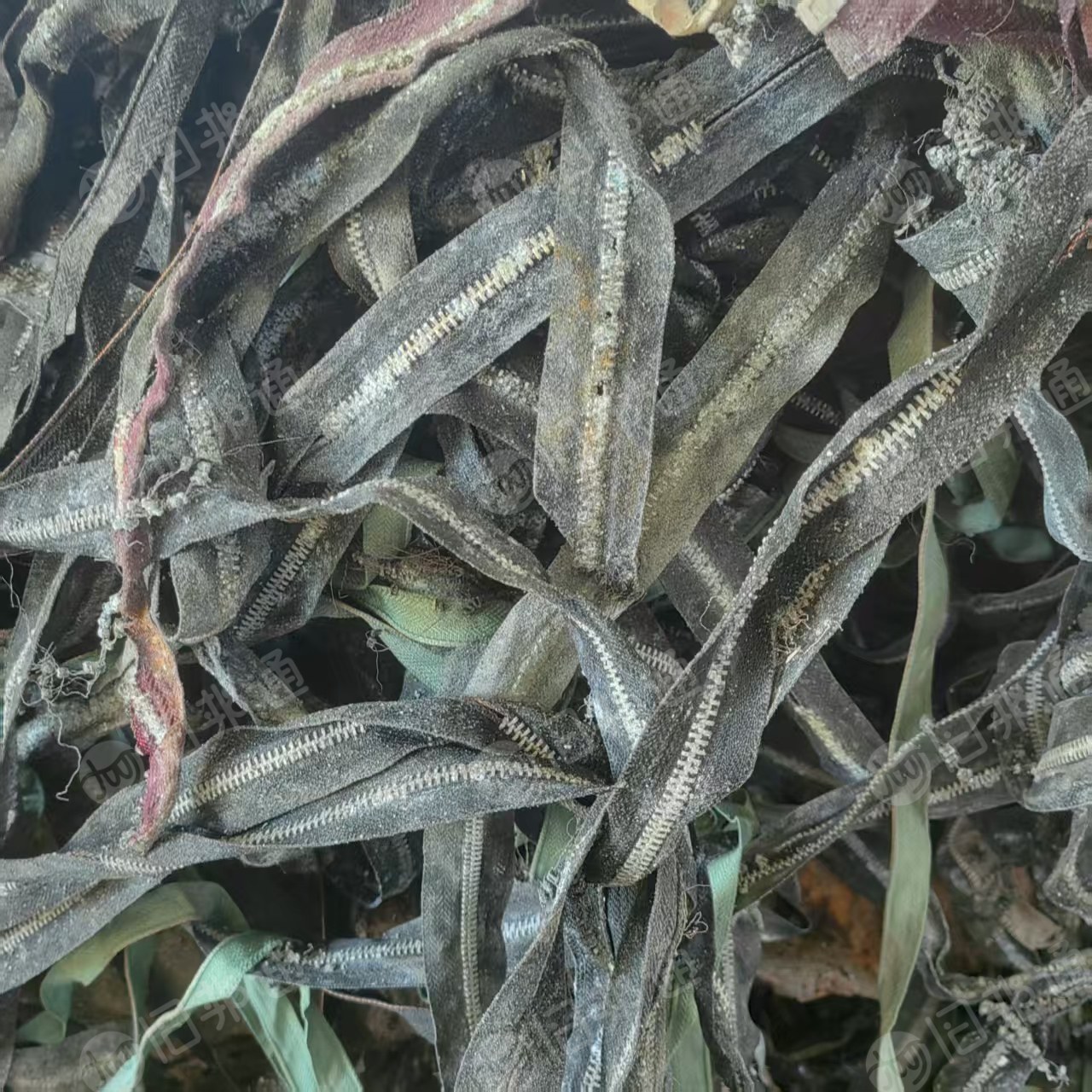 求购铝拉链，不限量收购