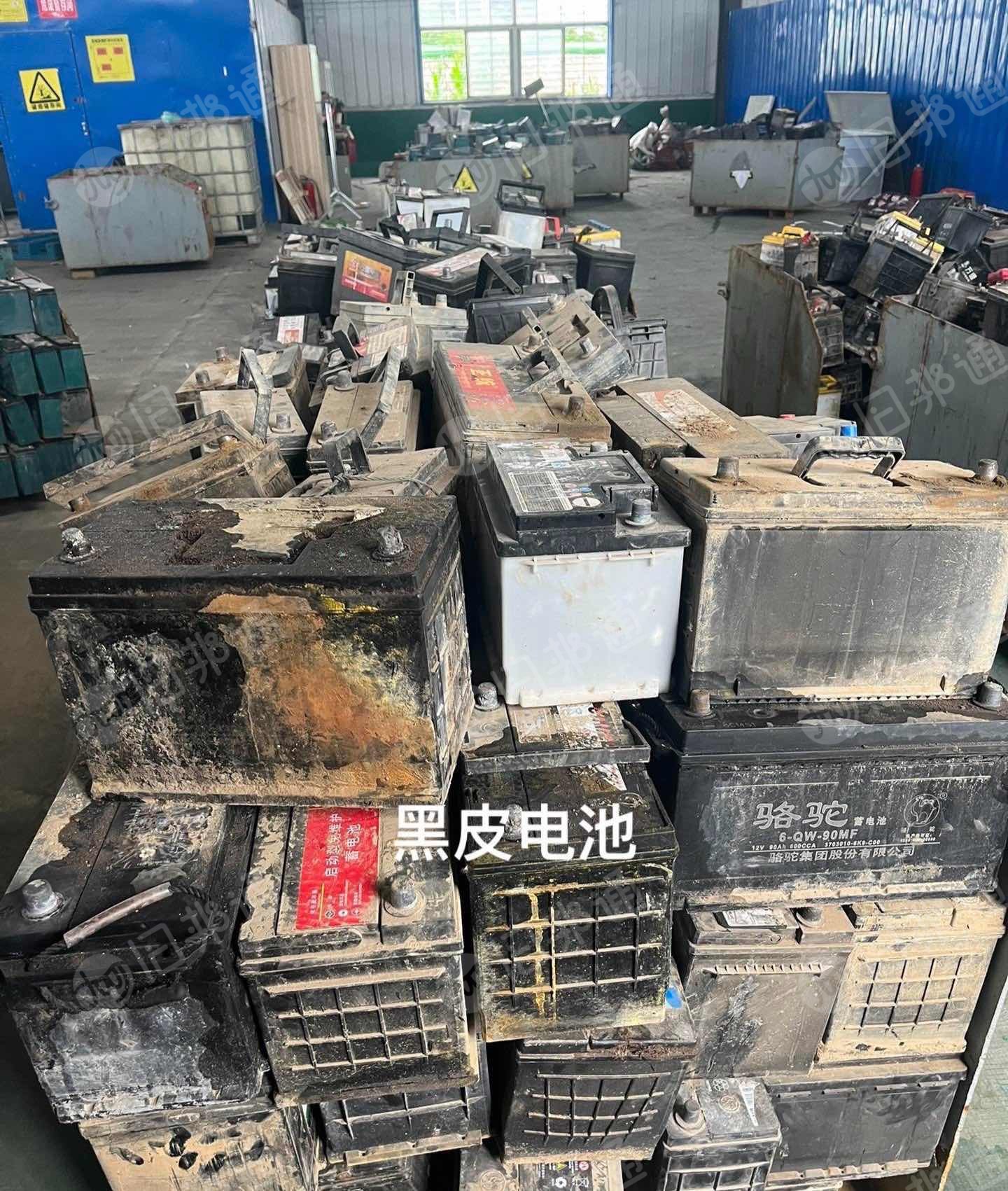 大量求购汽车，电动车等各种铅酸蓄电池