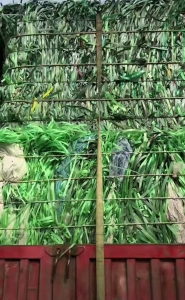 出售PET打包带废料