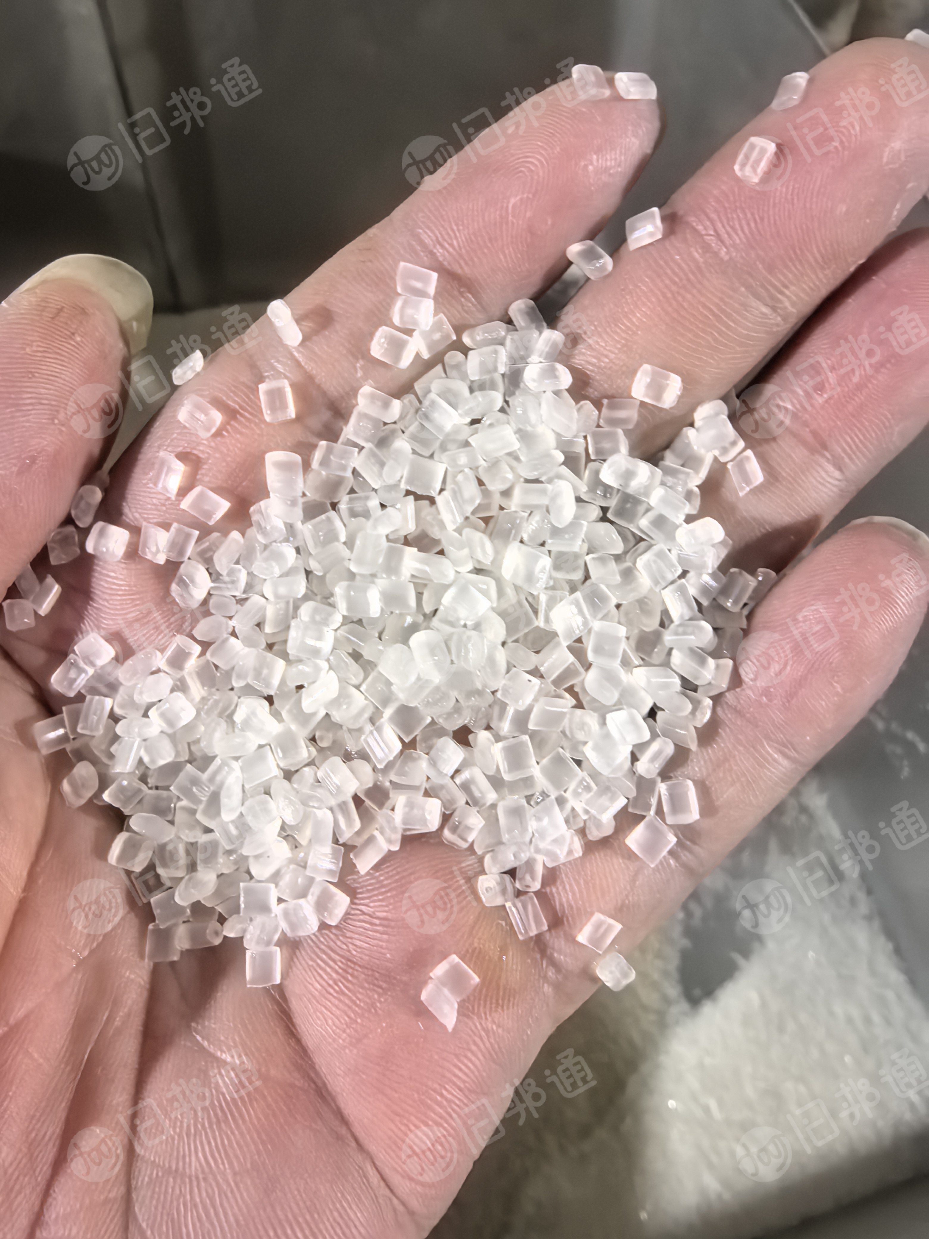 长年销售一级透明PP颗粒，月产量800吨