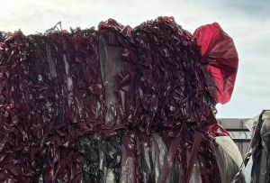 出售pe轮胎隔离膜，干造的，现货50吨