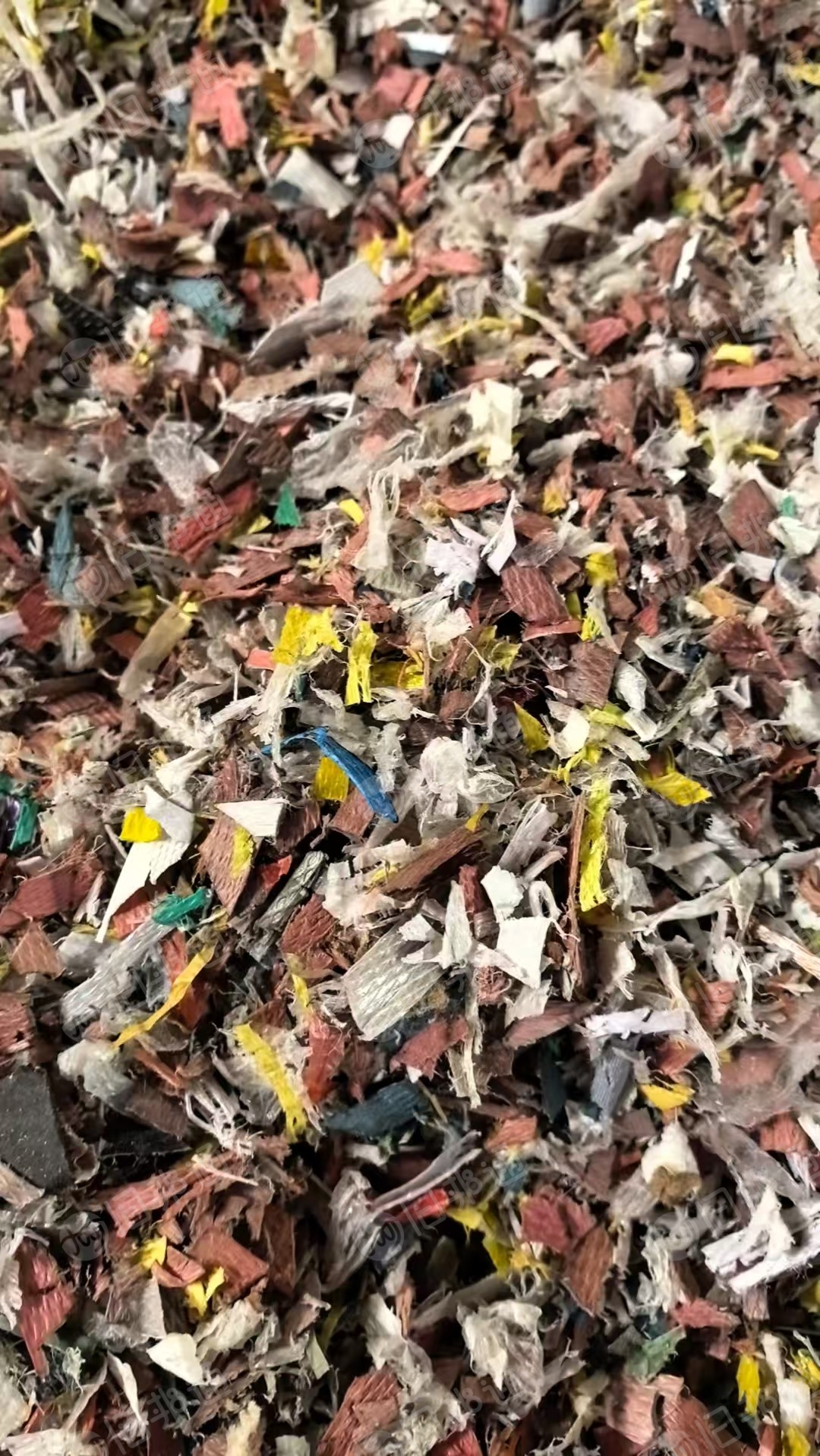 出售PP打包带破碎料，飘沉一体，飘占60%，现货够车