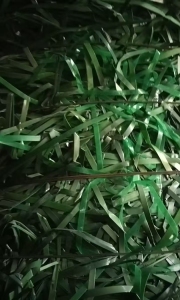 出售PET打包带废料