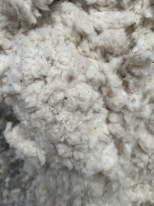 出售纺皮棉落棉下来的纯棉车肚,气流纺32下来,能纺低支纱,货在河北邢台