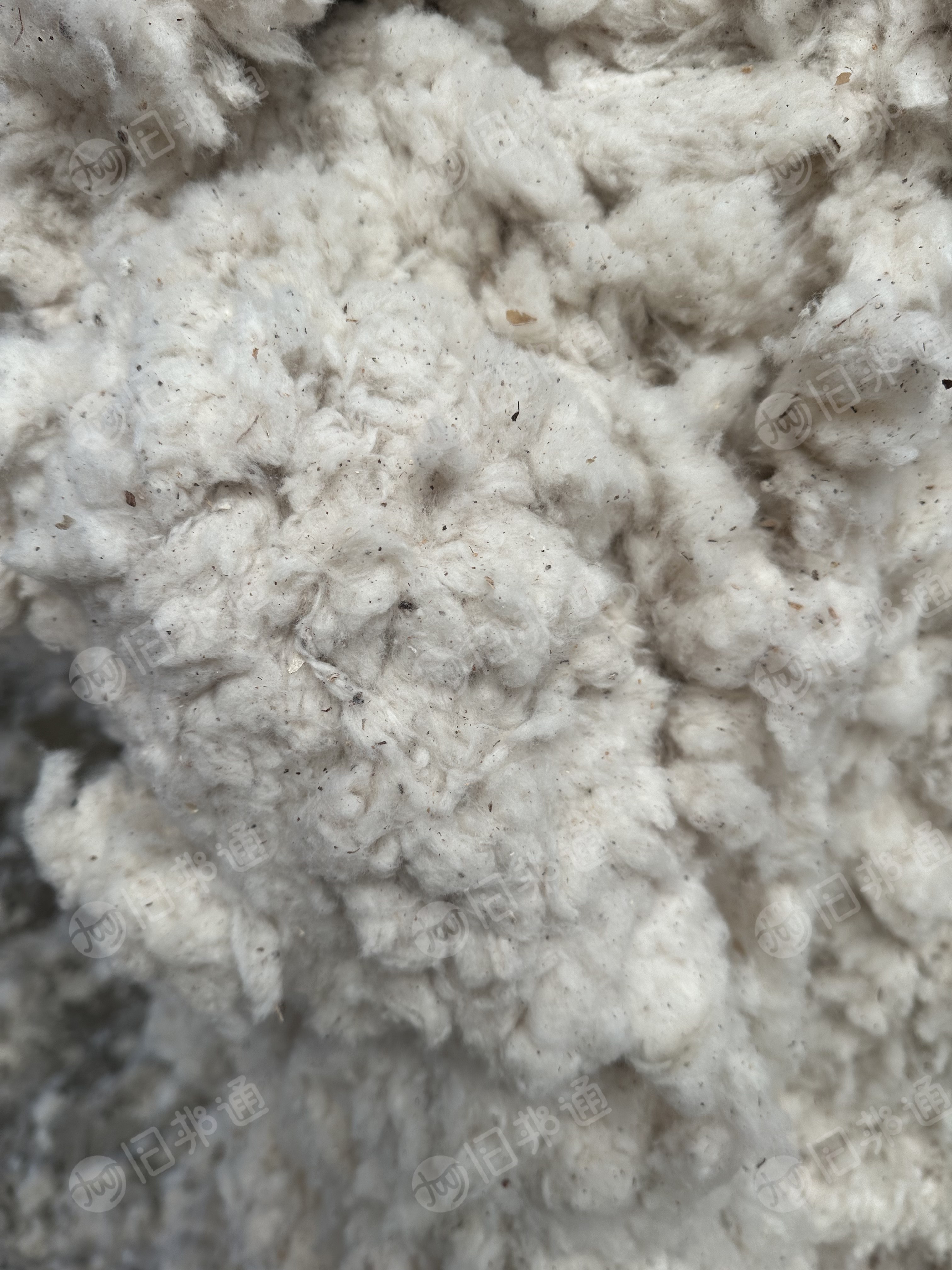 出售纺皮棉落棉下来的纯棉车肚，气流纺32下来，能纺低支纱，货在河北邢台