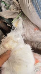 长期出售氨纶包覆纱下来的氨纶废丝，带点涤纶磨毛，现货有几十吨，货在山东临沂