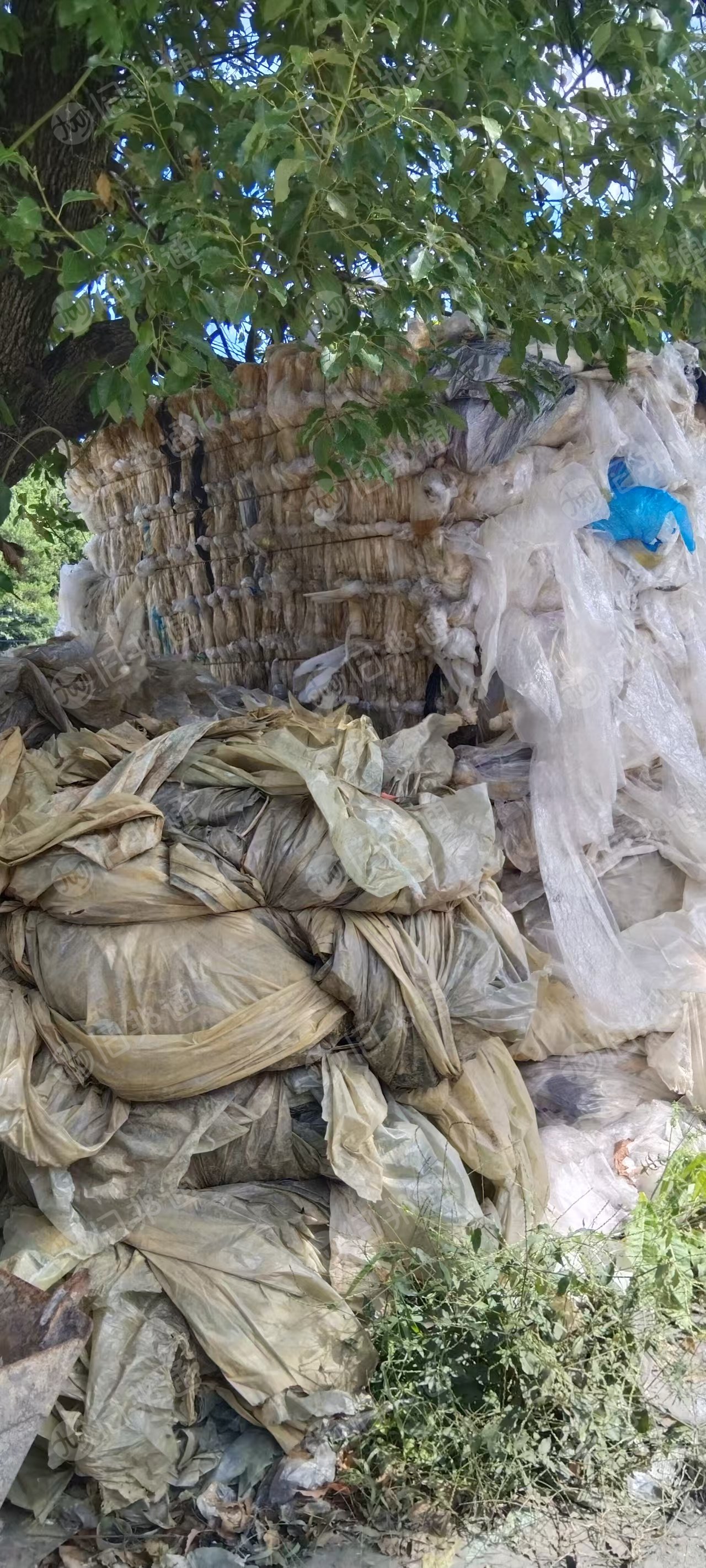 求购水洗高压膜，大棚膜跟气泡膜混打，各占50%，现货10吨