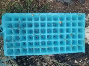 出售PVC育苗盘毛料