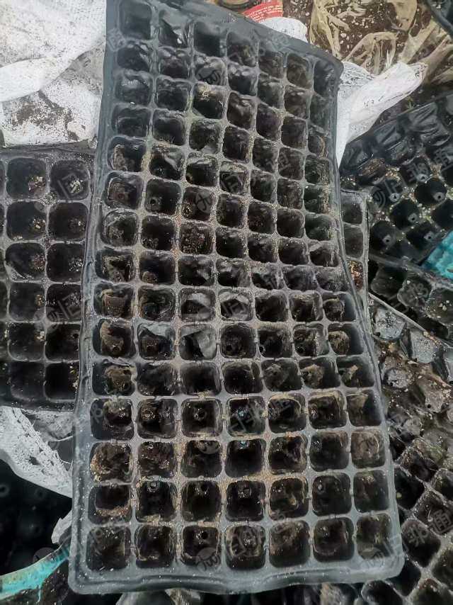 出售PVC育苗盘毛料