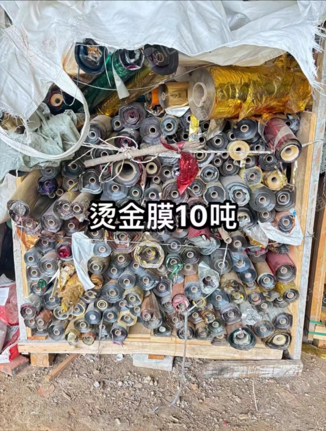 长期出售pet烫金膜打绳料