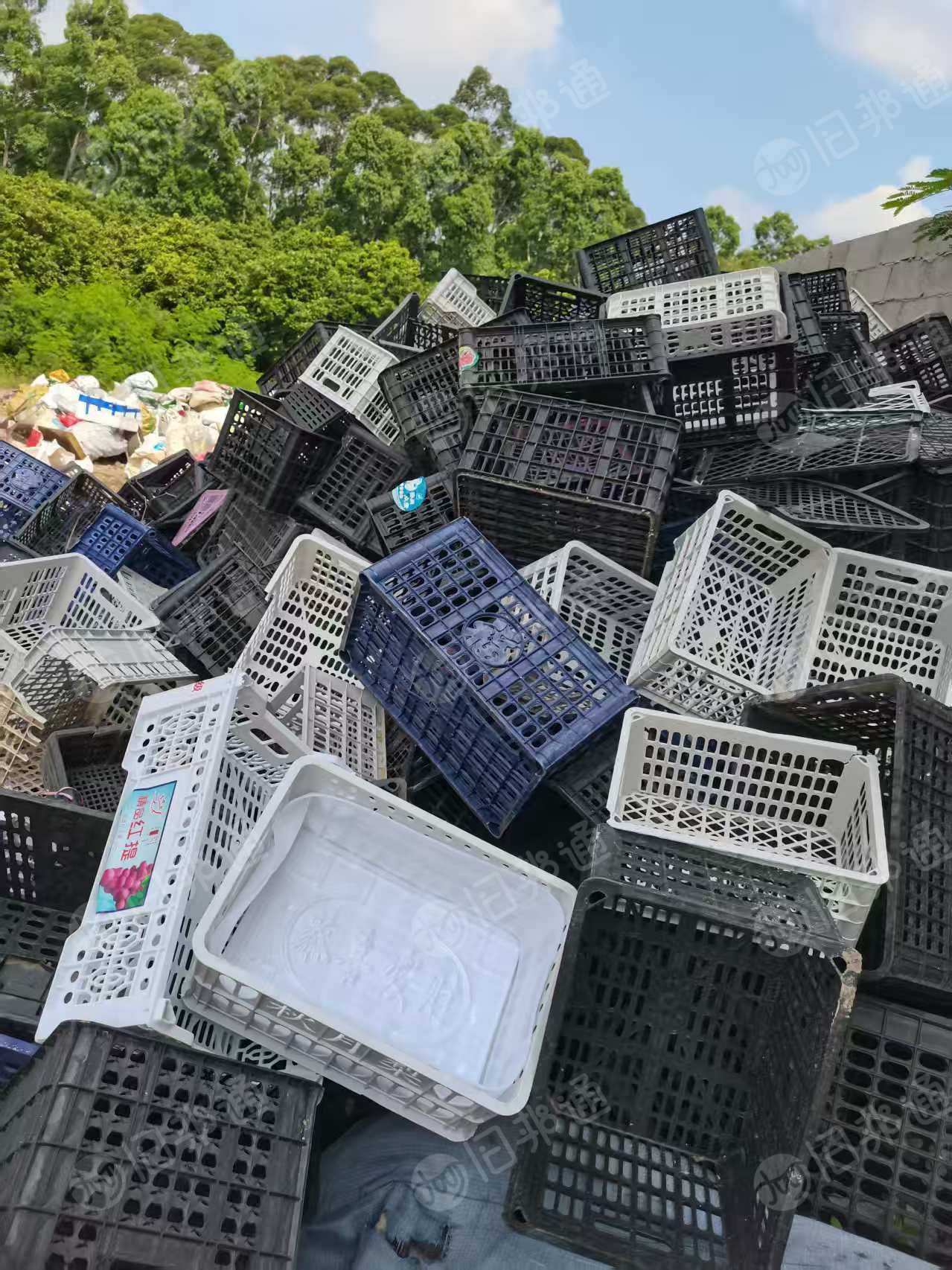 出售PP水果筐毛料