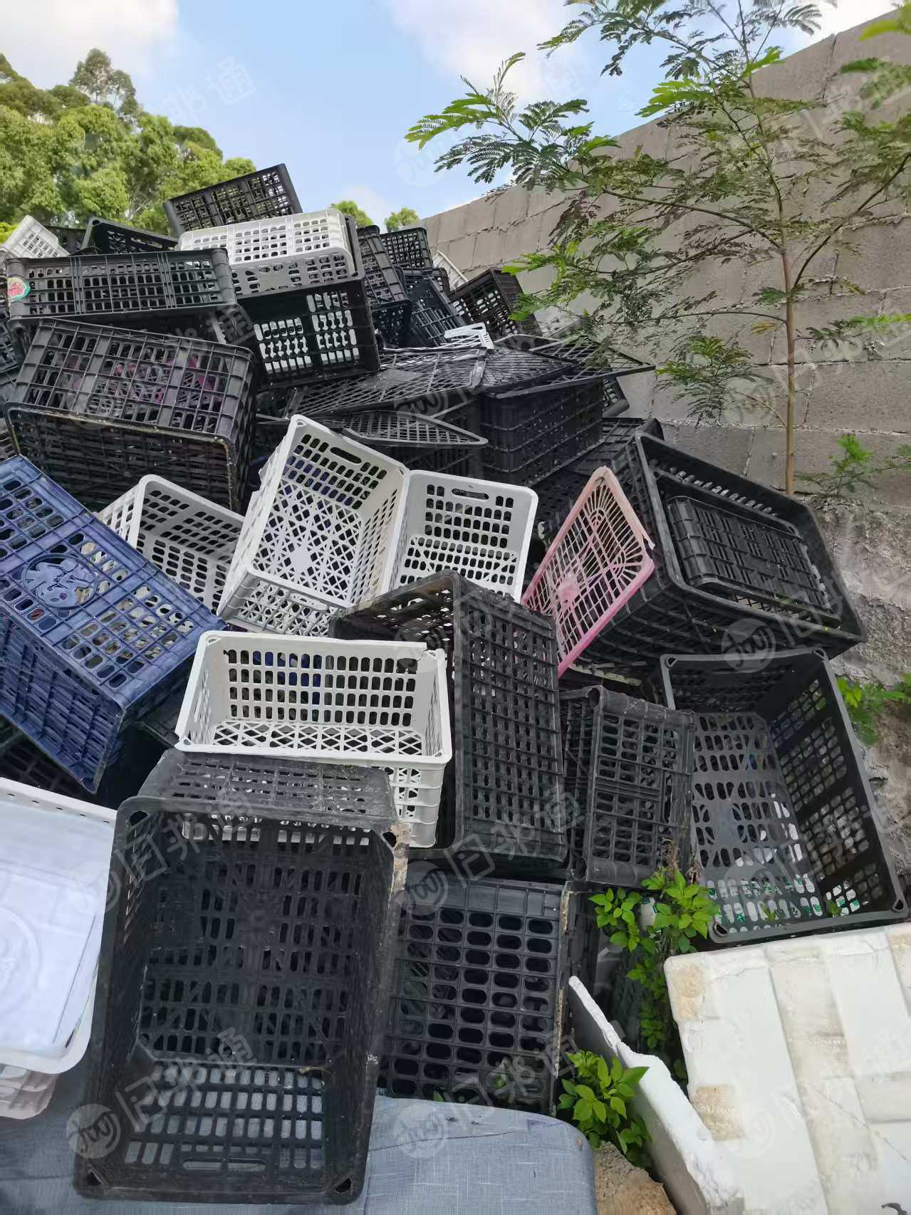 出售PP水果筐毛料