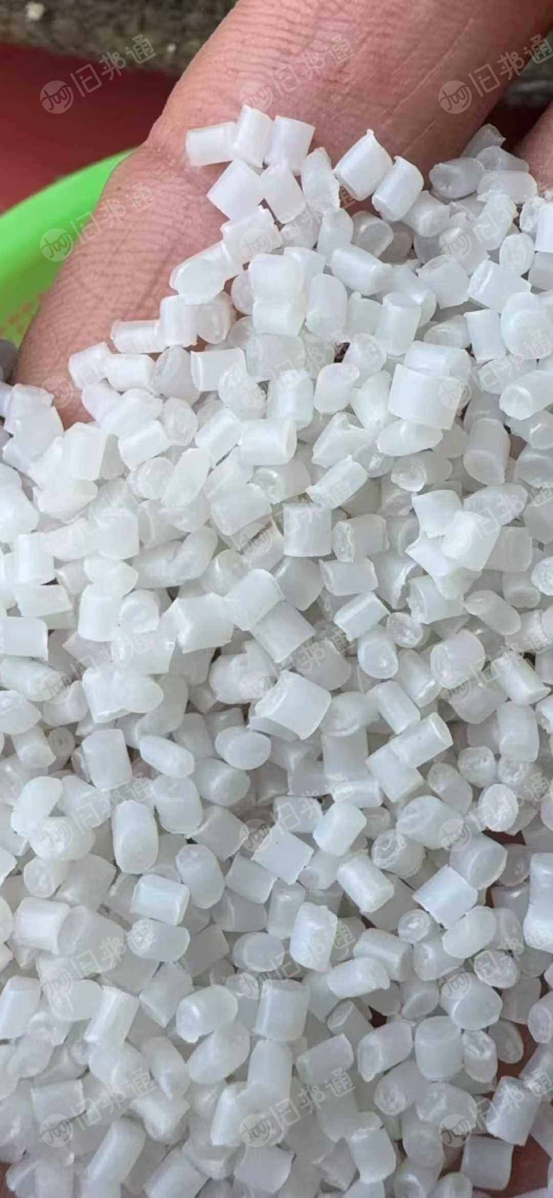 长期出售PP中空板颗粒，PP光伏板颗粒