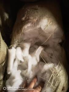 长期出售羽绒服厂下来的下脚料，太空棉边角料