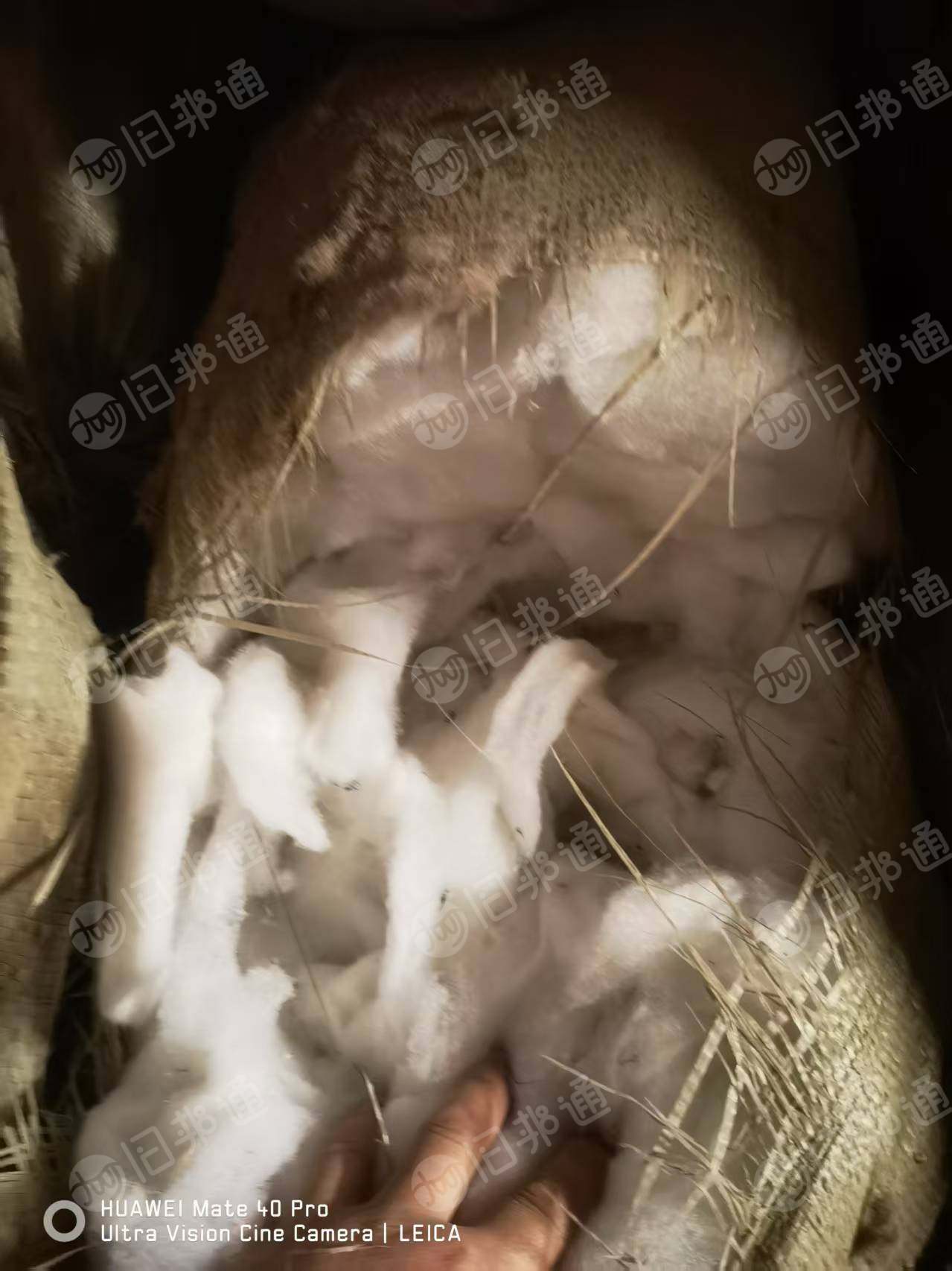 长期出售羽绒服厂下来的下脚料，太空棉边角料