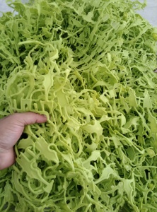 出售PVC边角料，滴塑厂下来的，现货10几吨