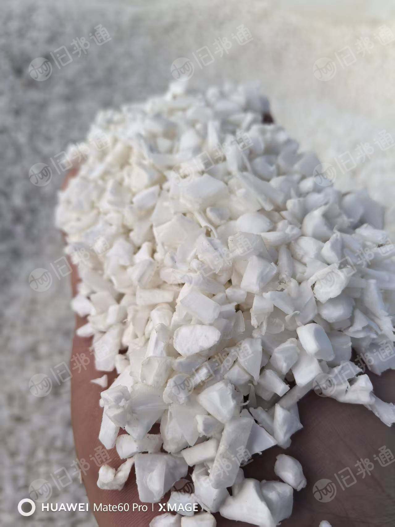 出售PP破碎料，PP板材破碎料,共聚破碎料，过12筛网