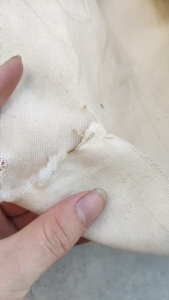 出售纯棉帆布，纯棉坯布，库存布，1.19米宽，克重215，现货有一千多米，货在广东普宁