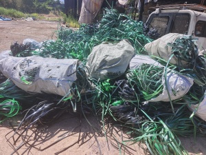 出售PET打包带毛料，长期出售