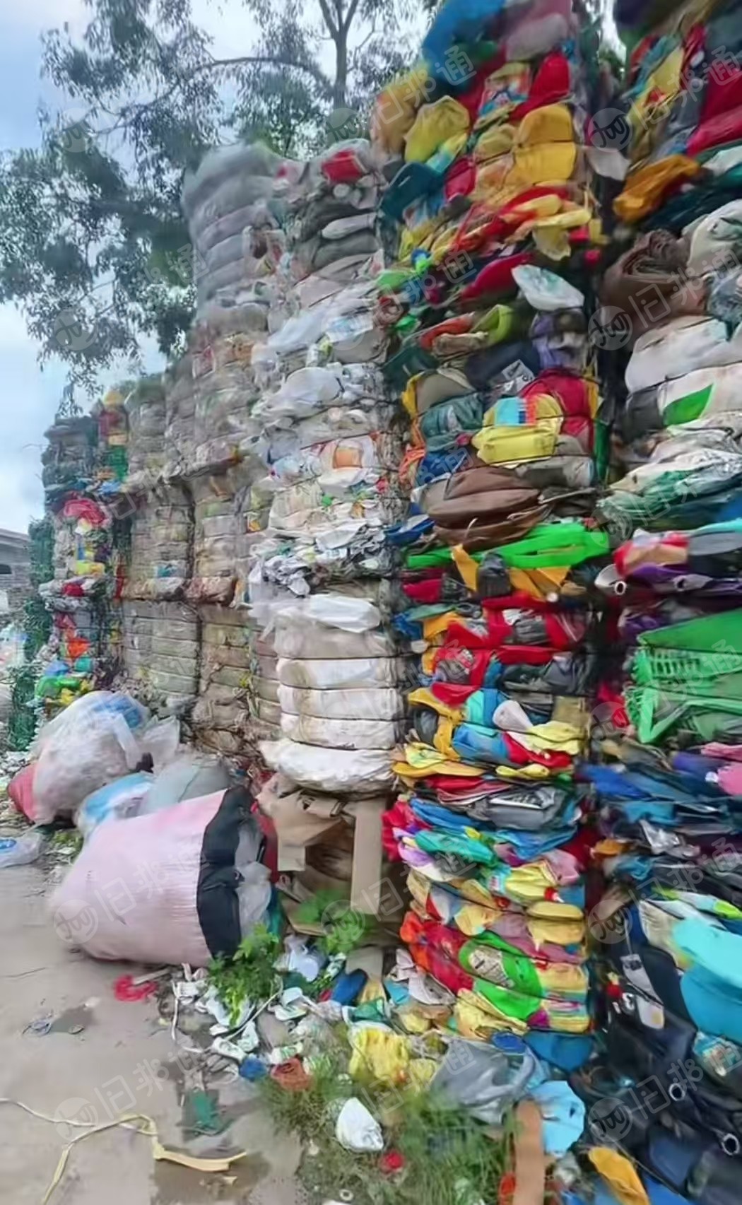 出售花乙压块，白乙压块